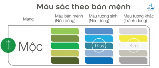 Màu sắc tương sinh, tương khắc với mệnh Mộc